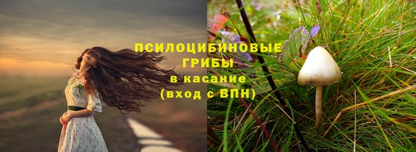 индика Абдулино
