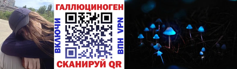 купить сайты Чайковский OMG сайт Галлюциногенные грибы Psilocybine cubensis