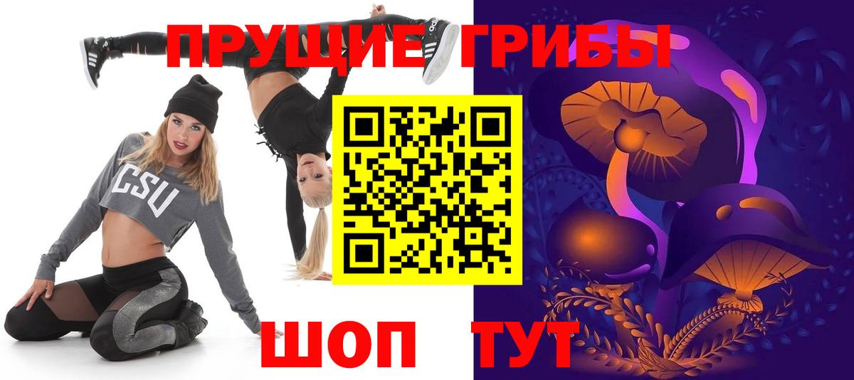 Псилоцибиновые грибы мицелий Чайковский